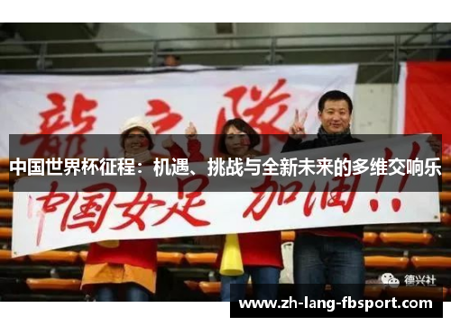 中国世界杯征程：机遇、挑战与全新未来的多维交响乐