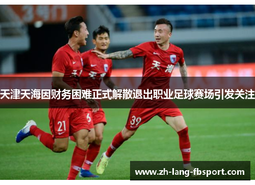天津天海因财务困难正式解散退出职业足球赛场引发关注